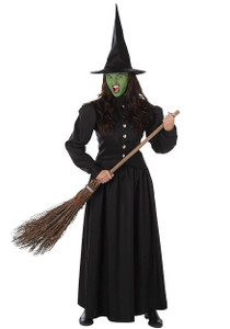 Adult Wicked Witch Adult Wicked Witch