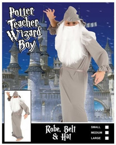 Child Potter Teacher Wizard