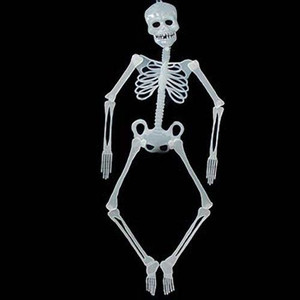 Skeleton Plastic