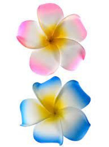 Clip Hair Frangipani 2pk
