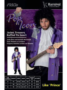 Costume Adult Pop Icon