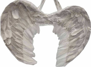 Wings Big Feather White Wings Big Feather White
