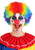 Wig 85g Jumbo Clown DRE9504