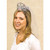 Tiara Bride To Be With Veil