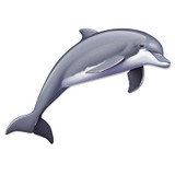 Jointed Dolphin