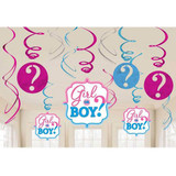 Girl Or Boy? Hanging Swirl Decorations