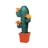 Standard Pinata Cactus
