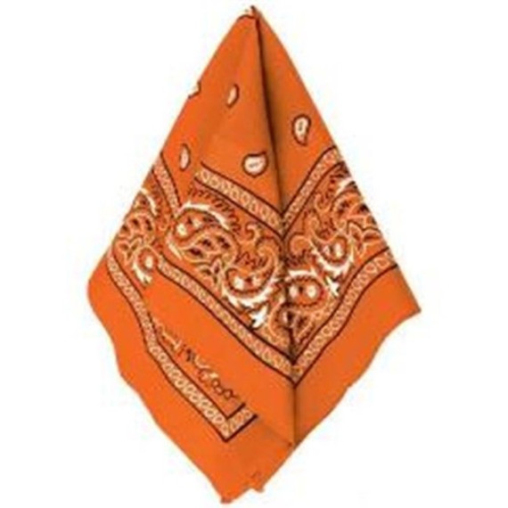 Orange Paisley Bandana