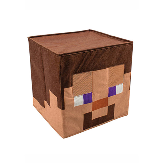 Minecraft Steve Block Head