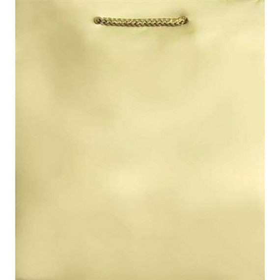 Gold Matte Paper Gift Bag - Xlarge