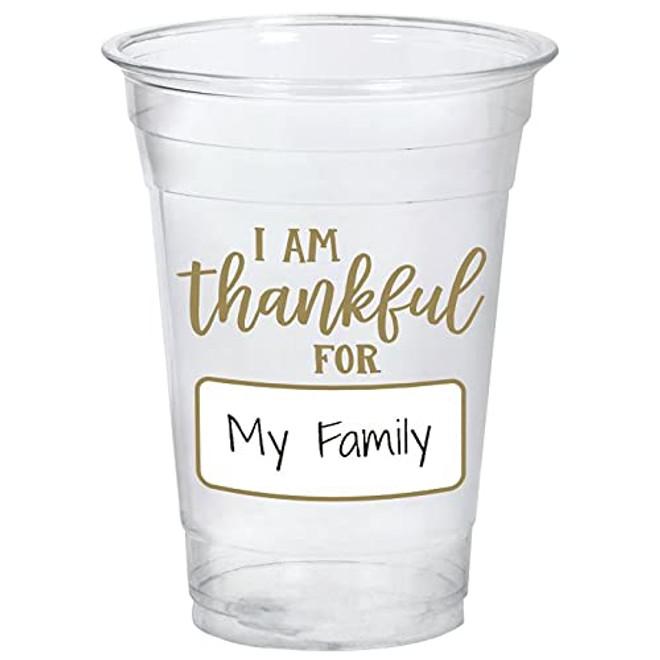 I Am Thankful Plastic Tumbler