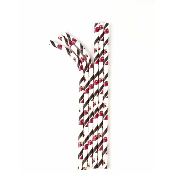 Arizona Cardinals Straws