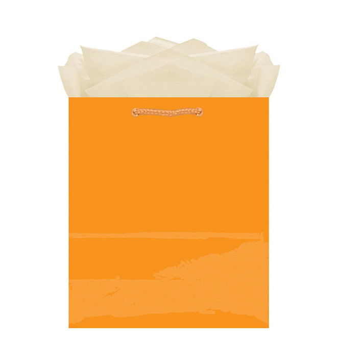Orange Paper Gift Bags - Medium