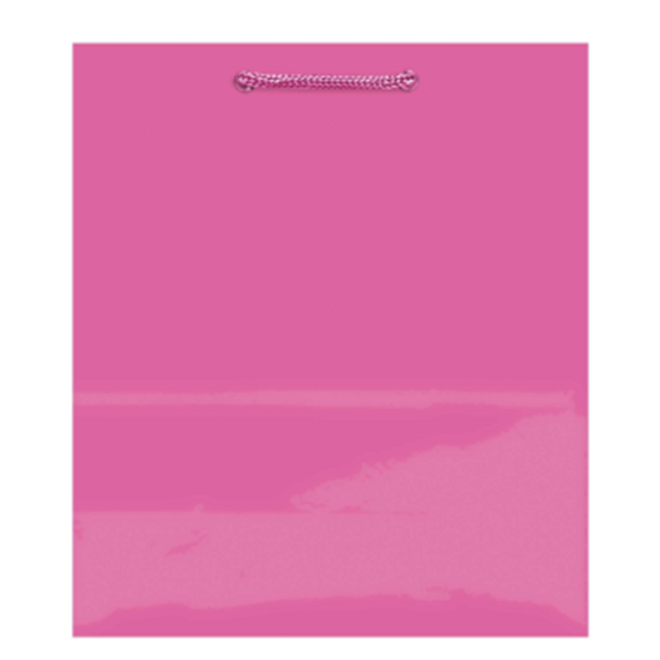 Bright Pink Paper Gift Bags - Medium