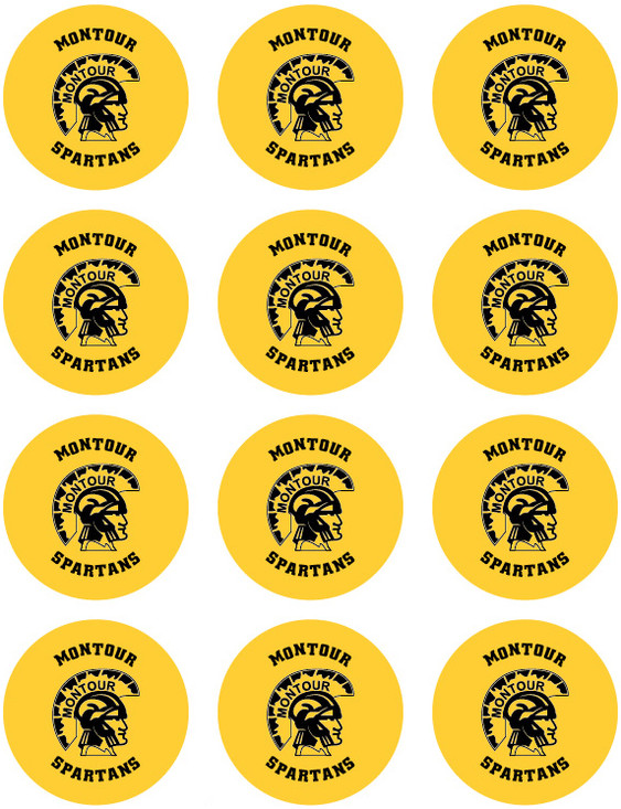 12 Montour Spartans Stickers