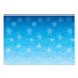 Blue and White Snowflakes Backdrop