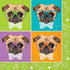 16 CT Pug Puppy Birthday Beverage Napkins