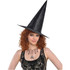 Adult Classic Black Witch Hat