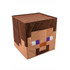 Minecraft Steve Block Head