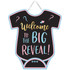 Gender Reveal Welcome Easel Sign