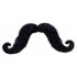 Black Mustache Costume Accessory