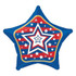 19 Inch United Star Patriotic Metallic Balloon