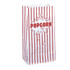 Popcorn Party Paper Bags 10 Pack