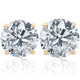 1 1/2Ct TW Diamond Studs in 14k White or Yellow Gold Lab Grown