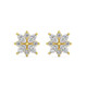 1/2Ct Marquise Star Diamond Earrings 14k Gold Earrings Lab Grown