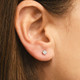 1/3 Ct Screw Back Diamond Studs 14k White Gold Lab Grown Earrings