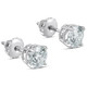 2 Ct 14k White Gold Moissanite Screw Back Studs 6mm