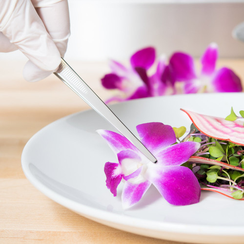 Winco TTG-10S 10" Straight Precision / Plating Tongs