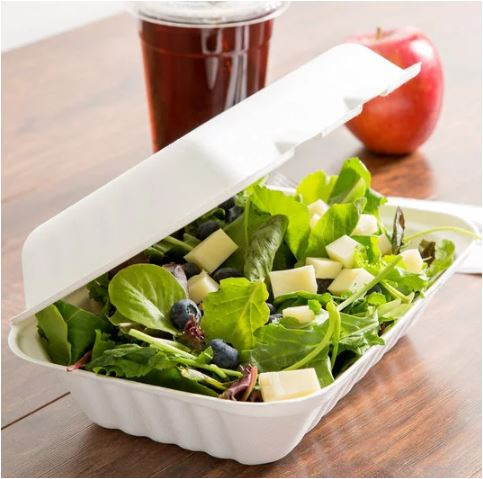 Green Wave Ovation Sugarcane / Bagasse TW-BOO-003 9" x 6" x 3" Biodegradable, Compostable Sugarcane / Bagasse 1 Compartment Takeout Container