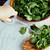 Winco ST-10S Scissor Salad Tong 10" Stainless Steel - UCT10