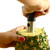 Norpro 5132 Stainless Steel Pineapple Corer / Slicer