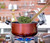 Harold Import 97011 5" Asian Kitchen Spider Strainer