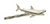 Barfly® 13 1/4" Stainless Steel Bar Spoon with Shark End M37012SHK