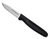 Dexter-Russell P40003- 2-3/4" Paring Knife with Clip Point – Basics® Series