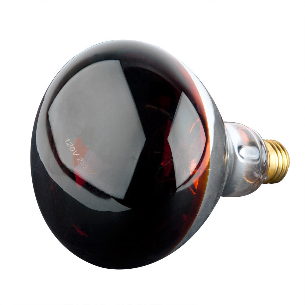 Heat Lamp Bulbs