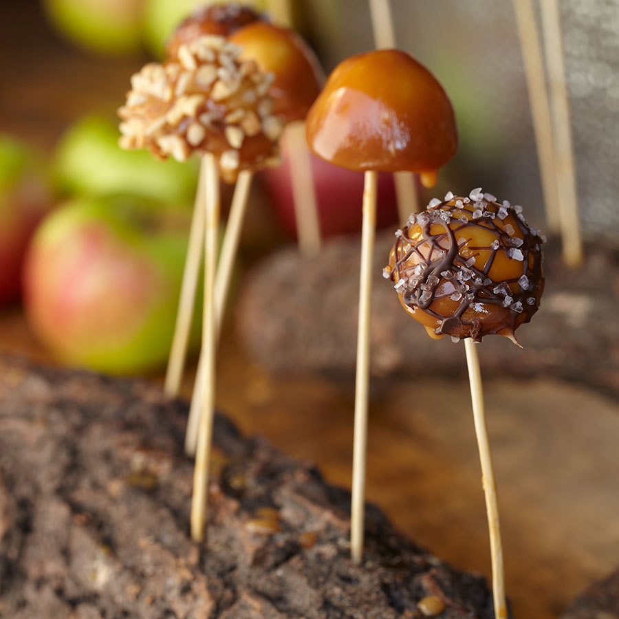 Bamboo & Wooden Skewers
