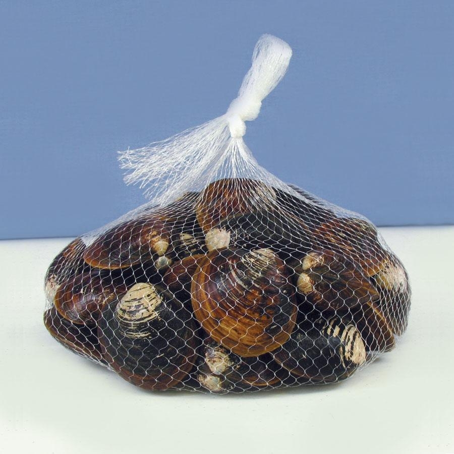 Seafood & Clam Bags