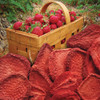 Freeze Dried Strawberries 8-pack