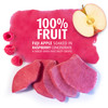 Raspberry Infused Fruit Crisps