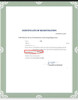 KF94 FDA Approved Face Mask Bulk Purchase 500 100/Case FREE SHIPPING