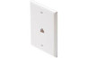 Telephone Flush Mount Plate with 6P4C Jack