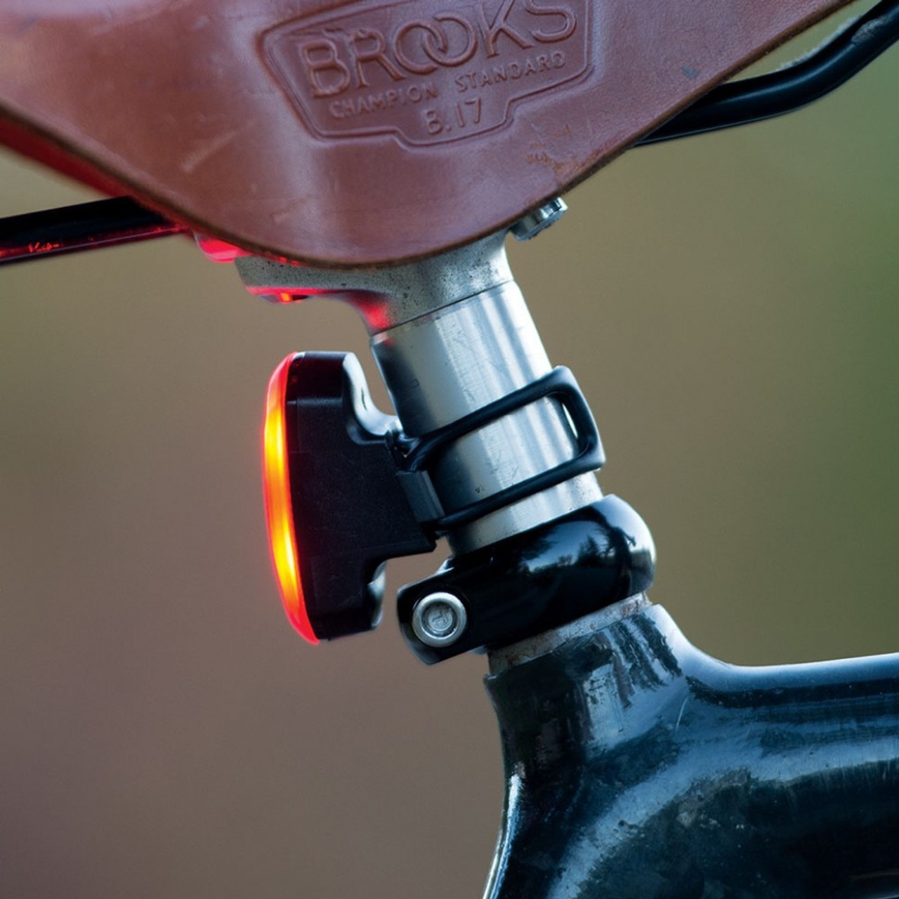 blackburn bike light mount