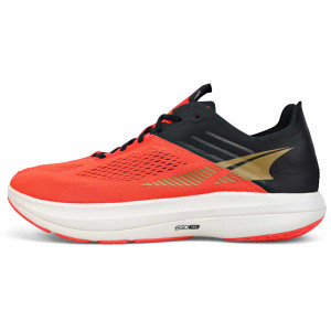 Coral - Black Coral - Black