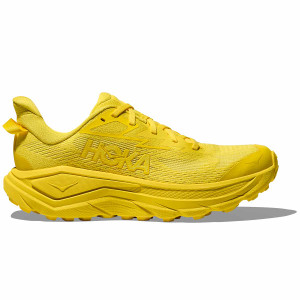 Electric Lemon - Electric Lemon