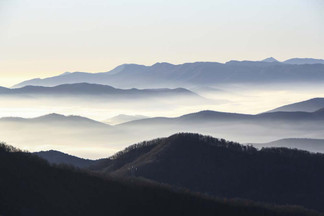 What Motivates the Pursuit of Athletics