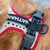 Nathan K9 Series Running Dog Harness Nathan K9 Series Running Dog Harness